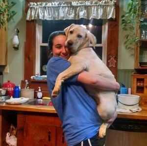 Meet your Posher, Molly